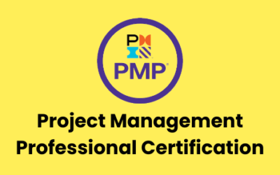 PMI-PMP (Project Management Professional) Training